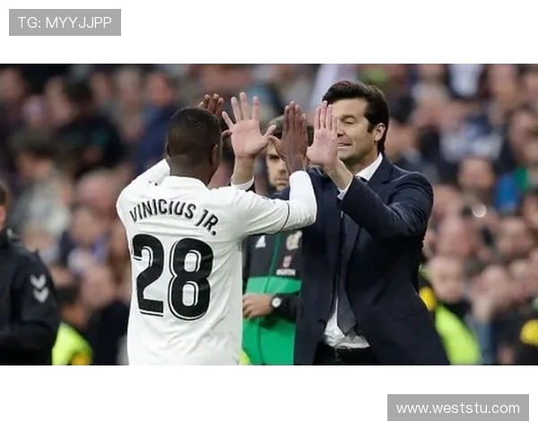 本菲卡球迷辱维尼修斯事件发酵